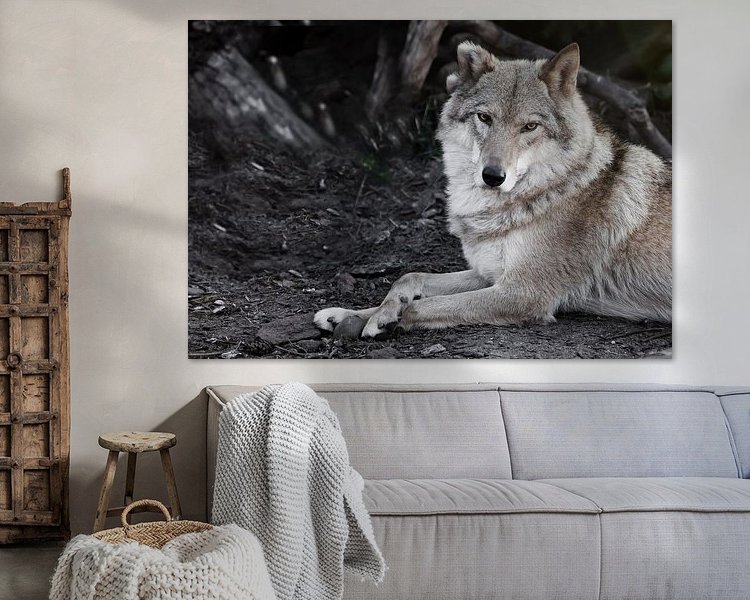 Aperçu de la chambre