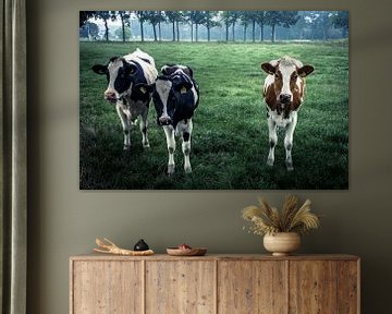 Onze lieve koeienmeisjes van Photobywim Willem Woudenberg