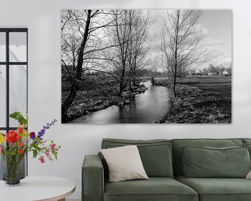Zwart wit foto van de Limburgse Bleijenbeek