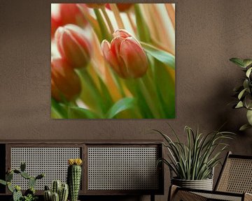 TulipsTime sur Yvonne Blokland