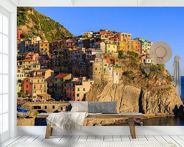 Manarola, Cinque Terre, Italië