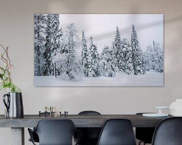 Pine forest in the snow, Finland by Rietje Bulthuis