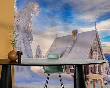 Hut in winterland by Daniela Beyer