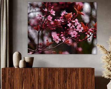 Flowers 3