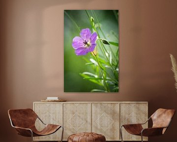 Prachtige details van een paarse geranium bloem van Michel Geluk