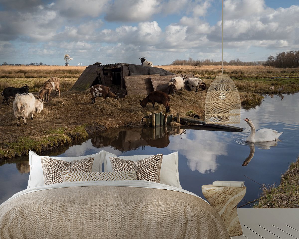Voorbeeld van het werk in een kamer