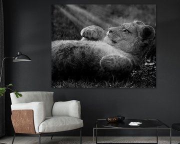 Zonlicht op Afrikaanse leeuwenwelpje van Patrick van Bakkum