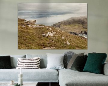 Sheep in Ireland by Astrid Volten