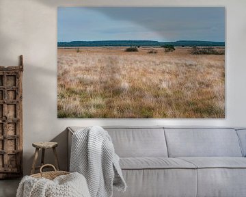 Le paysage du Veluwe sur Anouschka Hendriks