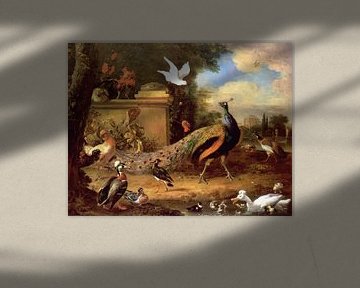 Pfauen und andere Vögel am See, Melchior d'Hondecoeter