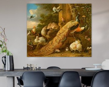 Peacock, parakeet, pelican, crane and poultry, Melchior d'Hondecoeter