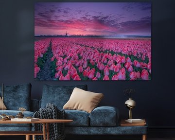 Sunrise over the tulip fields by Willeke Bijker