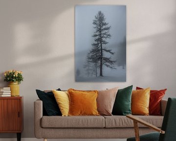 Larix in einer Schneelandschaft mit Nebel von Arthur Puls Photography