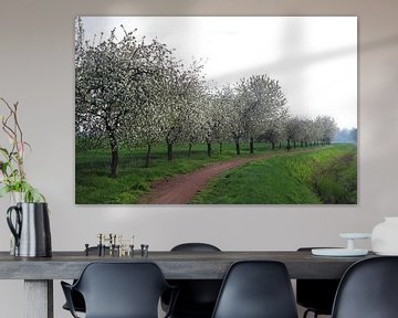 Bloeiende appelbomen van Karina Baumgart