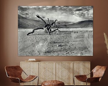 Totholz in der Namib-Wüste Namibia 2 von Jan van Reij