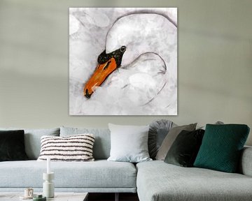 Mute swan by Bianca Wisseloo