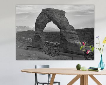 Delicate Arch Arches National Park Amerika zwart-wit