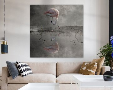 Flamingo by Cora Deutekom