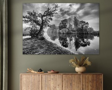 Des arbres au bord de l'eau avec des reflets en noir et blanc sur R Smallenbroek