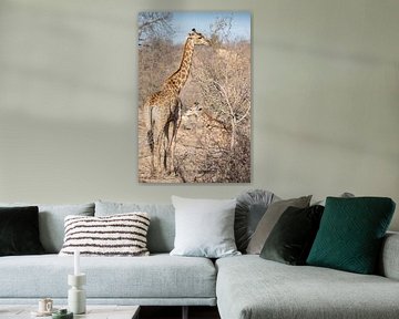 Mutter und junge Giraffe in Südafrika von Eveline van Beusichem