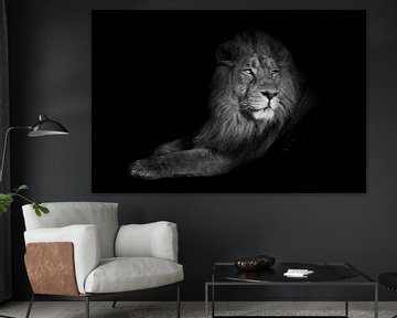 bright yellow glowing eyes, discolored body on a black background. A powerful lion male with a chic  by Michael Semenov