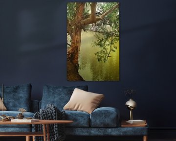 Arbre au-dessus de l'eau du Jourdain. Eau lente, branches tombantes, symbole du baptême sur Michael Semenov