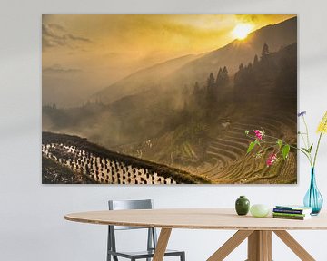 sun and yellow fog. Misty autumn landscape with rice terraces. China, Yangshuo, Longsheng Rice Terra by Michael Semenov