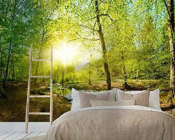 Forest with stream and sun by Günter Albers