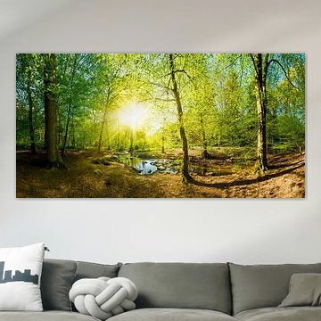 Une forêt avec un ruisseau et du soleil sur Günter Albers