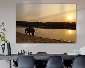 elephant at sunset by the lake. by Michael Semenov