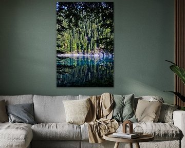 Türkisblauer See zwischen den Zweigen der Bäume und bewaldetes gegenüberliegendes Ufer, Wildnis. von Michael Semenov