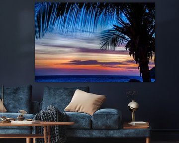 Palmboom bij kleurrijke zonsondergang van Joke Van Eeghem