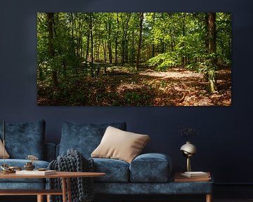 Dans la forêt sur Frank Herrmann