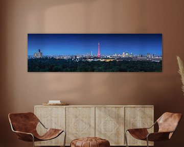 Berlijnse skyline van Frank Herrmann