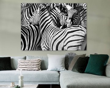 Zebra's van Alex Neumayer