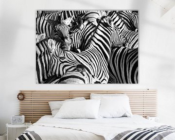 Zebras by Alex Neumayer