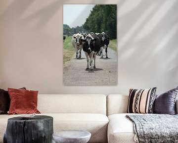 Koeien op pad van Annemarie Kroon