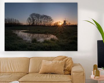 Broyer le papillon au lever du soleil sur Moetwil en van Dijk - Fotografie