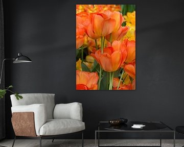 Oranje Tulpen van Johanna Blankenstein