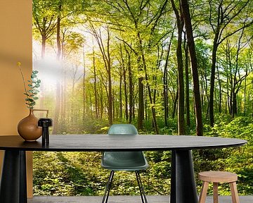 Sunrise in the forest by Günter Albers