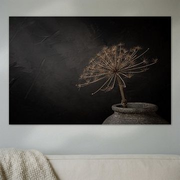 Stilleben mit großer getrockneter Bärenklaue in grauem Steingefäß von Mayra Fotografie