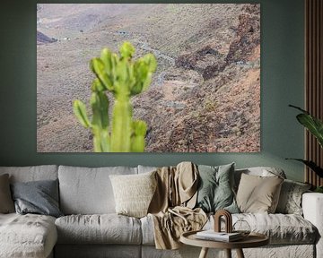 cactus and mountain road on gran canaria