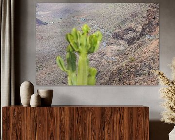 cactus en bergweg op gran canaria