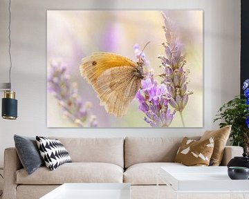 Schmetterling auf Lavendel von Inge Lubbers