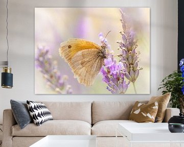 Butterfly on lavender by Inge Lubbers