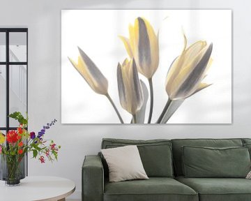 Haut de gamme avec tulipes jaunes sur Jolanda de Jong-Jansen