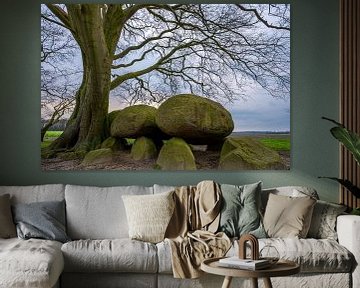 Hunebed D21 een monument in het landschap van Gerry van Roosmalen