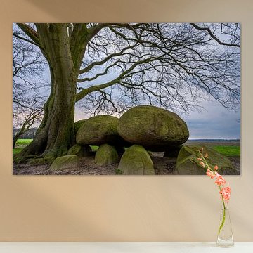 Hunebed D21 a monument in the landscape