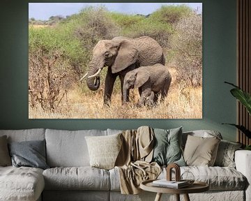 Elefantenmutter und Kalb in Tansania von Mickéle Godderis
