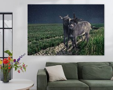 Donkeys at night time van Elianne van Turennout
